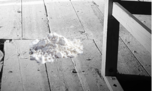 Chlordane: The Ghost in the Attic