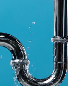 Beyond the “L-Word”: