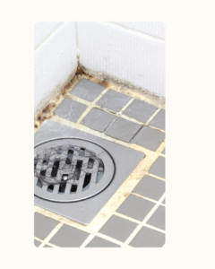 Chlorine Clean? No Not Really